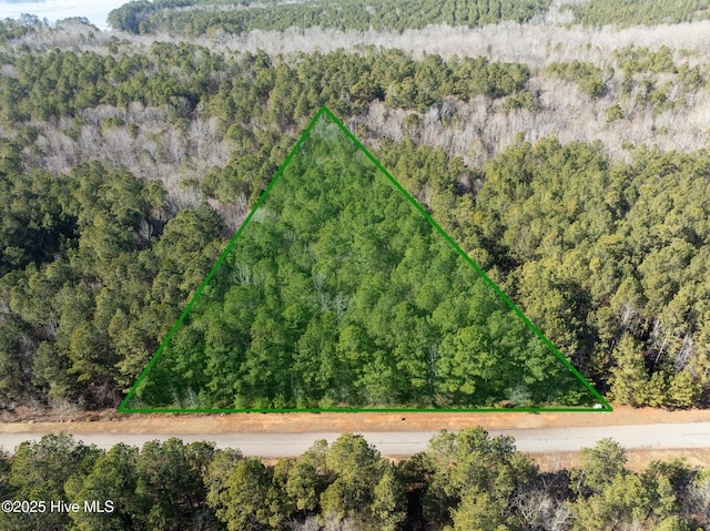 000 N State Ln, Rockingham NC, 28379 land for sale