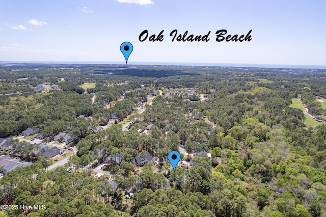 3882 White Blossom Cir, Southport, NC 28461 - bird's eye view featuring a view of trees