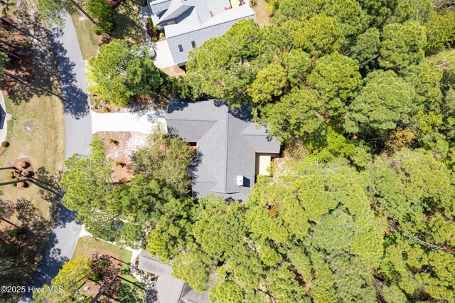3882 White Blossom Cir, Southport, NC 28461 - drone / aerial view