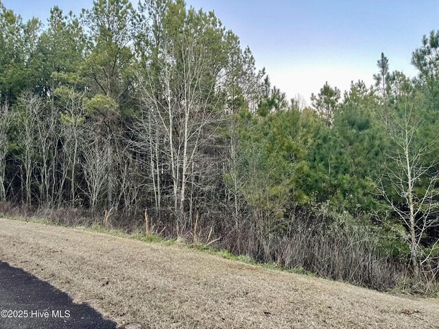 Listing photo 3 for TBD Riverbluff Ln, Lilesville NC 28091