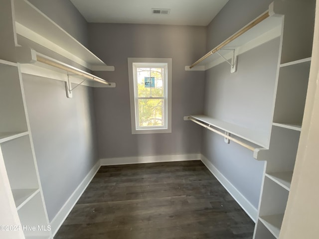 walk in closet featuring dark hardwood / wood-style floors and built in desk