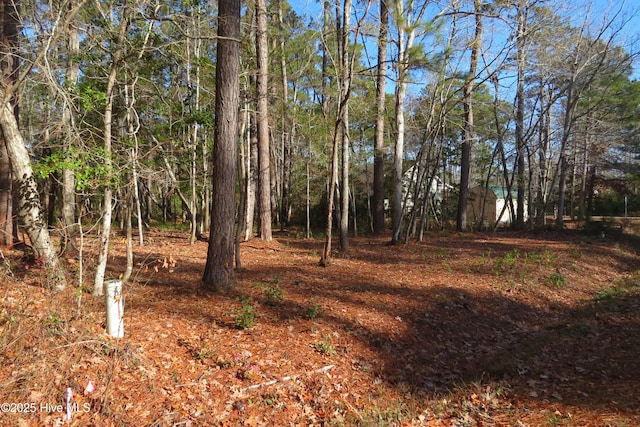 1446 Seafarer Dr Unit 41, Oriental NC, 28571 land for sale