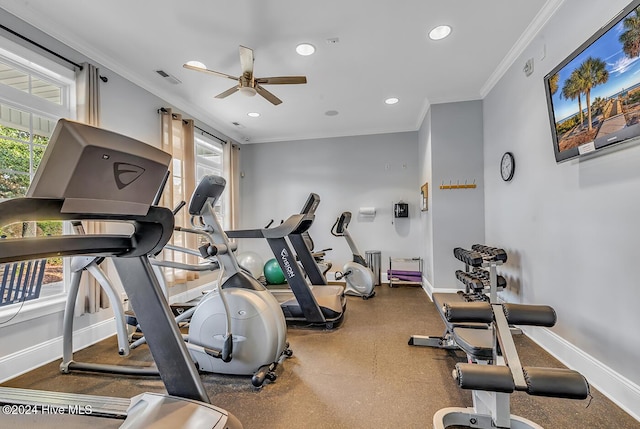 workout area featuring ceiling fan and crown molding