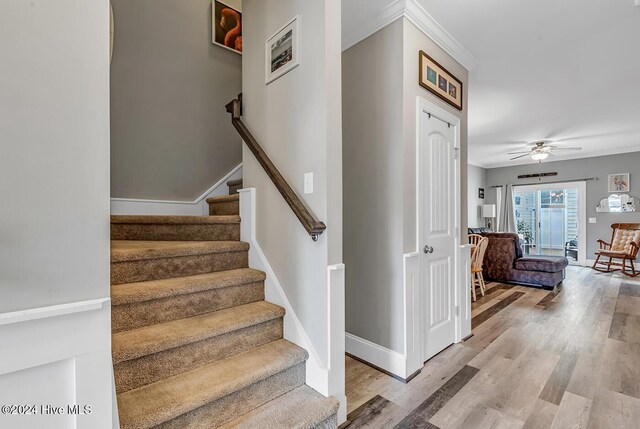 stairs featuring ceiling fan, crown molding, baseboards, and wood finished floors