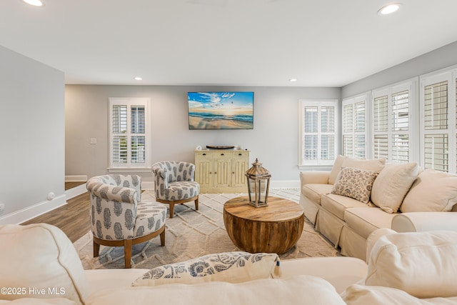 living room featuring hardwood / wood-style floors and plenty of natural light