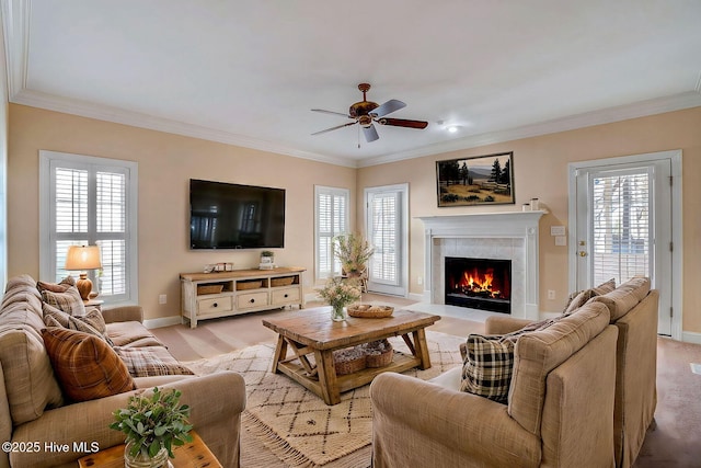 carpeted living room with a fireplace, a wealth of natural light, crown molding, and ceiling fan