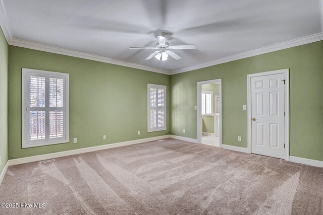 walk in closet featuring carpet floors