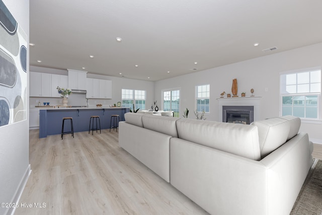 living room featuring light wood-type flooring