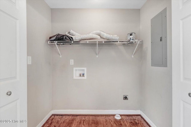 laundry area featuring electric panel, hardwood / wood-style flooring, washer hookup, and hookup for an electric dryer