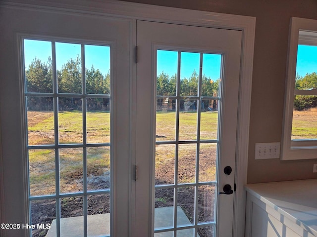 2587 Grifton Hugo Rd, Hookerton, NC 28538 - doorway to outside featuring plenty of natural light