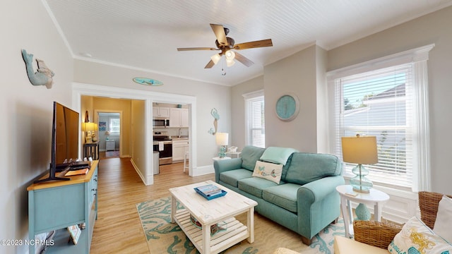 living room with light hardwood / wood-style floors, ceiling fan, and ornamental molding