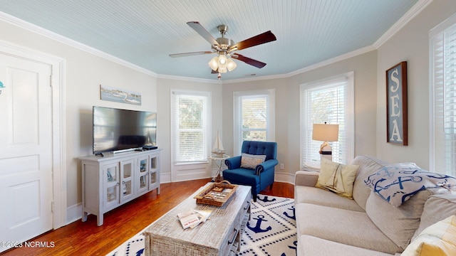 living room featuring ornamental molding, ceiling fan, and dark wood-type flooring