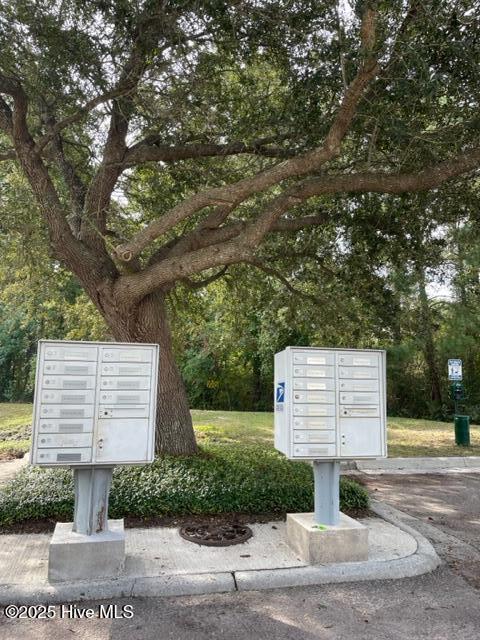 view of home's community with mail boxes