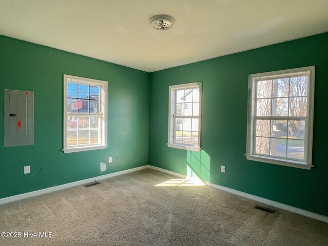 empty room featuring a wealth of natural light, carpet floors, and electric panel