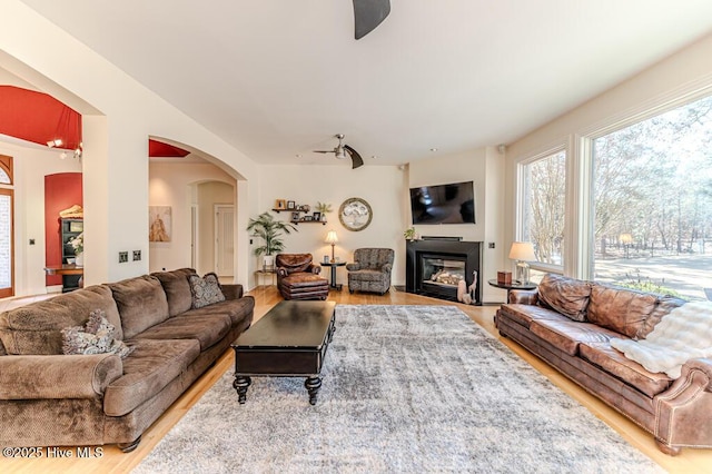 living room with ceiling fan and light hardwood / wood-style flooring