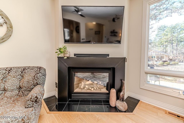 room details with hardwood / wood-style floors