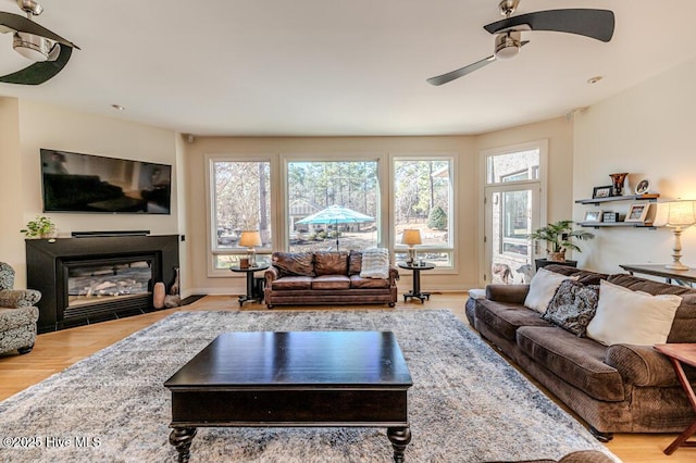 living room featuring ceiling fan and wood-type flooring