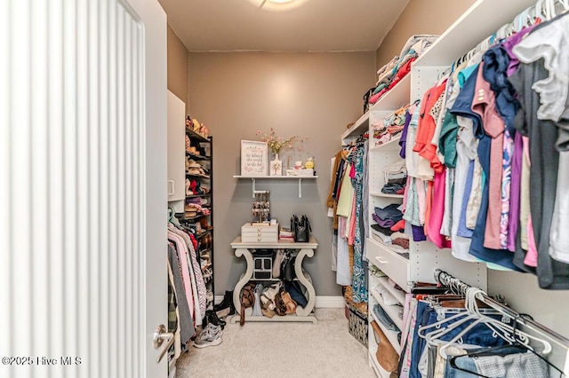 walk in closet with carpet flooring