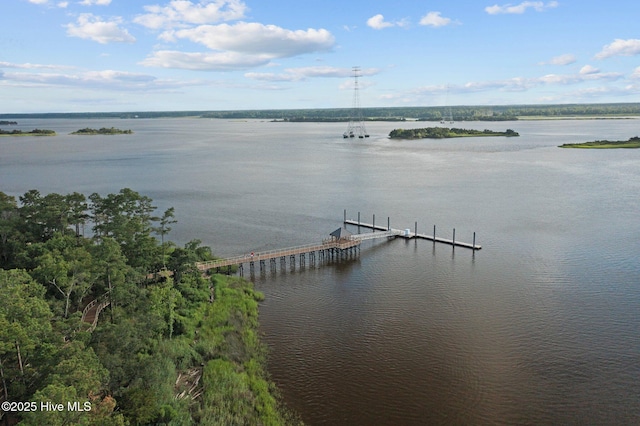 view of water feature featuring a dock