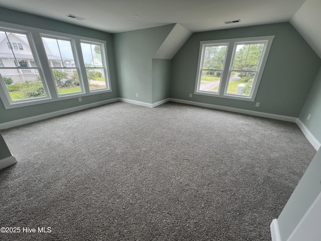 additional living space featuring carpet and vaulted ceiling