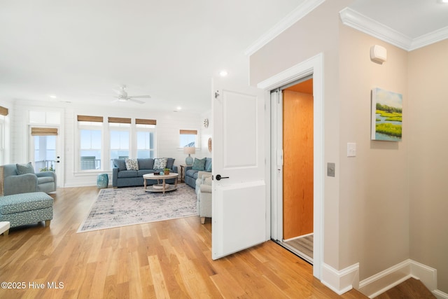 living room featuring ceiling fan, light hardwood / wood-style flooring, and ornamental molding