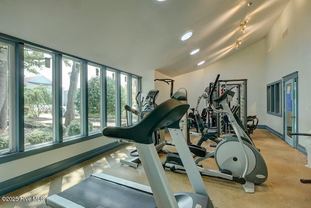 workout area featuring vaulted ceiling