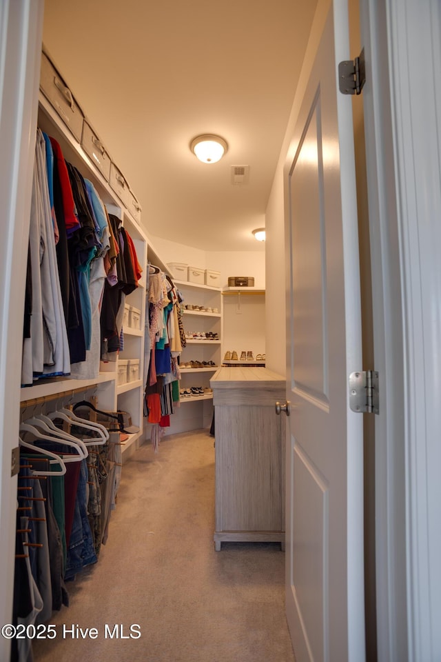 view of walk in closet