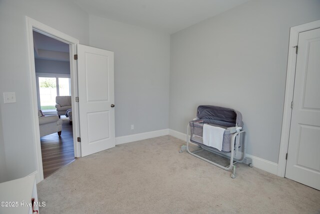 miscellaneous room with light carpet