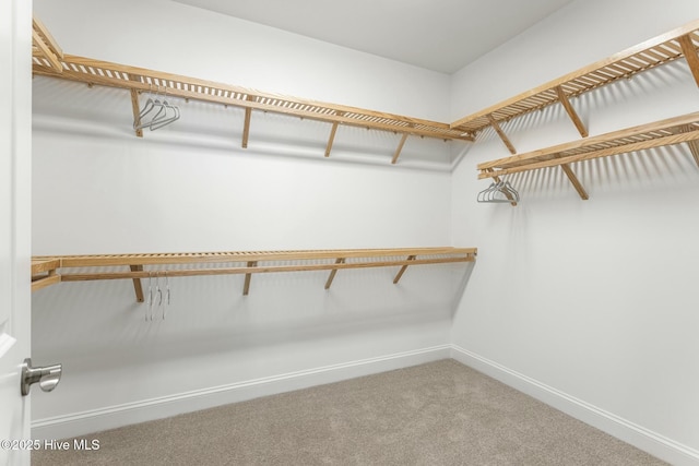 spacious closet with carpet floors