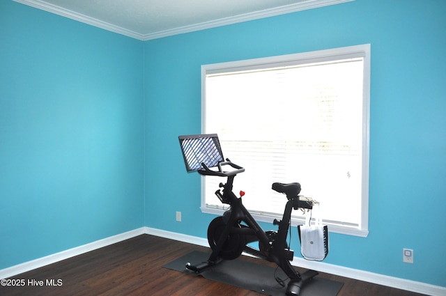 workout room featuring dark hardwood / wood-style floors and ornamental molding