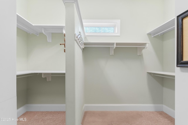 walk in closet with light colored carpet