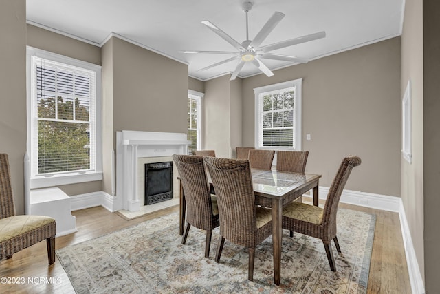 dining area with baseboards, light wood-style floors, a fireplace, and crown molding