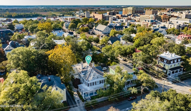 drone / aerial view