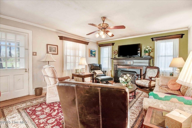 living room featuring ornamental molding, ceiling fan, a healthy amount of sunlight, and hardwood / wood-style floors