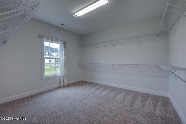 2022 Tarpon Trl, New Bern, NC 28562 - spacious closet featuring carpet floors