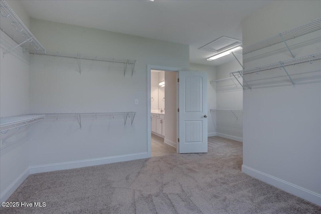 2022 Tarpon Trl, New Bern, NC 28562 - walk in closet featuring carpet flooring and attic access