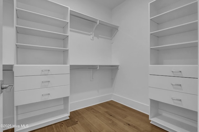 spacious closet featuring hardwood / wood-style flooring