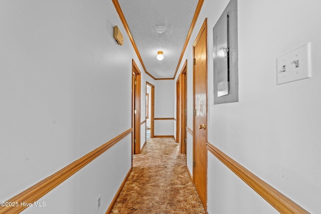 hallway with a textured ceiling, light colored carpet, and ornamental molding