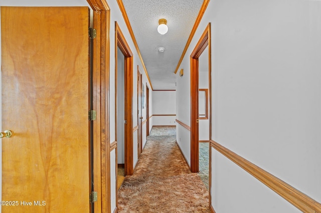 hallway featuring carpet, ornamental molding, and a textured ceiling