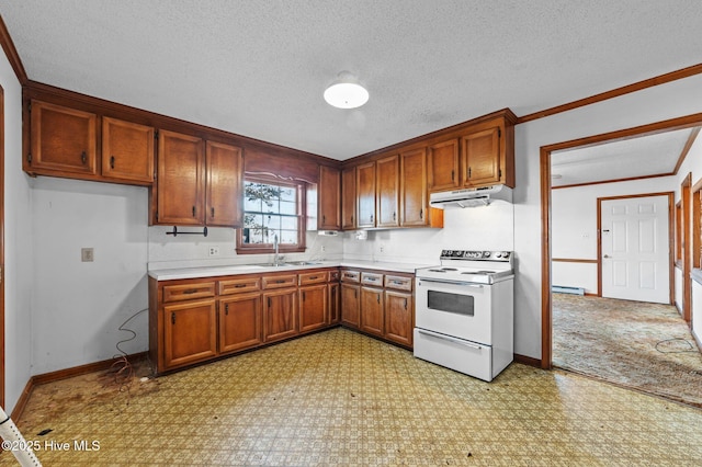 kitchen featuring sink, electric range, ornamental molding, a textured ceiling, and a baseboard radiator