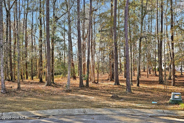 803 Weston Ln SE Unit 118, Bolivia, NC 28422