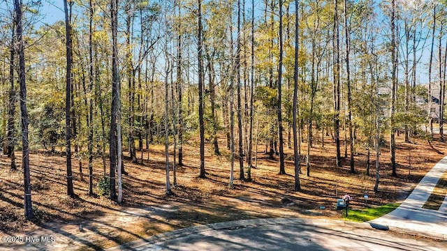 803 Weston Ln SE Unit 118, Bolivia, NC 28422