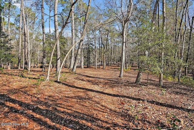 803 Weston Ln SE Unit 118, Bolivia, NC 28422