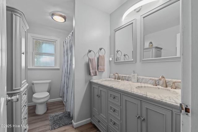 bathroom featuring hardwood / wood-style flooring, vanity, and toilet