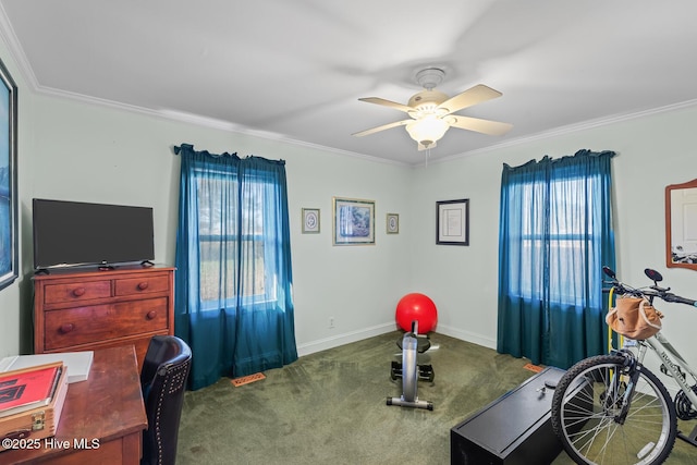 workout room featuring carpet flooring, ceiling fan, and crown molding