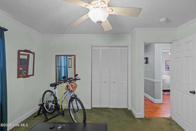 workout area featuring crown molding, ceiling fan, and dark carpet