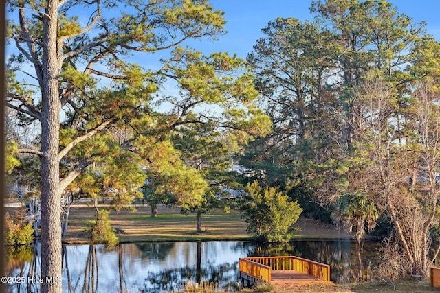 water view