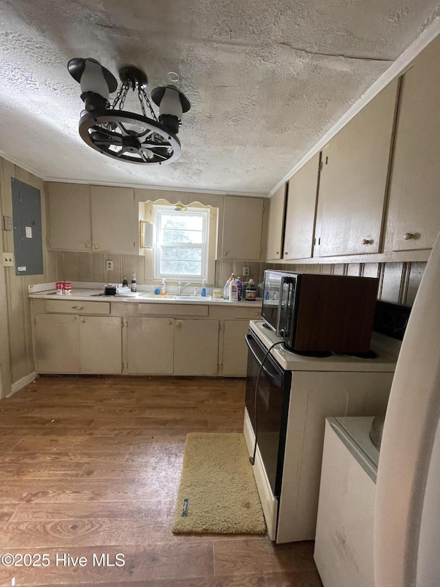 kitchen with cream cabinetry, light hardwood / wood-style floors, a textured ceiling, and electric panel