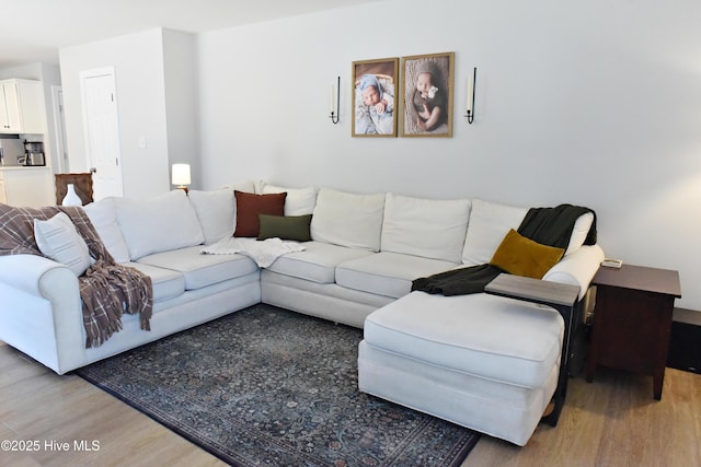 living room featuring light hardwood / wood-style flooring