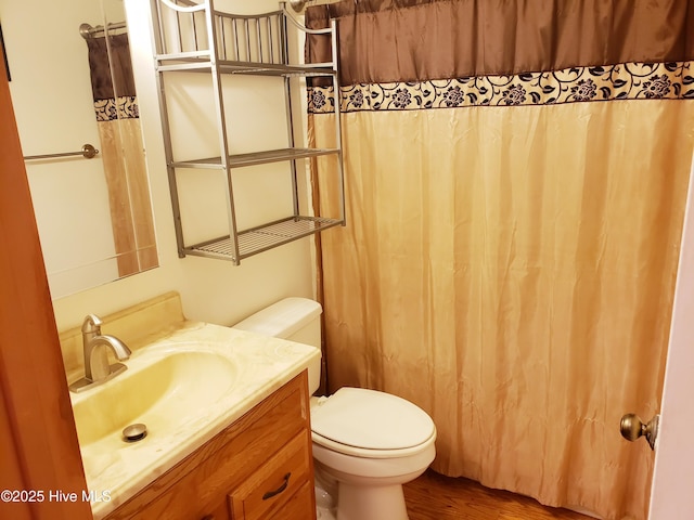 bathroom with vanity, toilet, and wood-type flooring